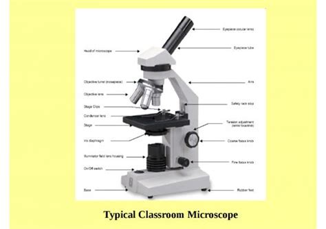 microscope slideshare|3.1: Introduction to the Microscope .